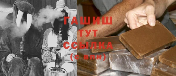 прущие грибы Аркадак