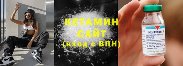 прущие грибы Аркадак