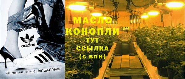 прущие грибы Аркадак