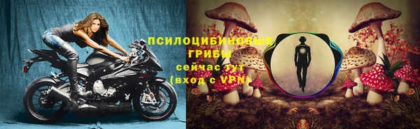 прущие грибы Аркадак