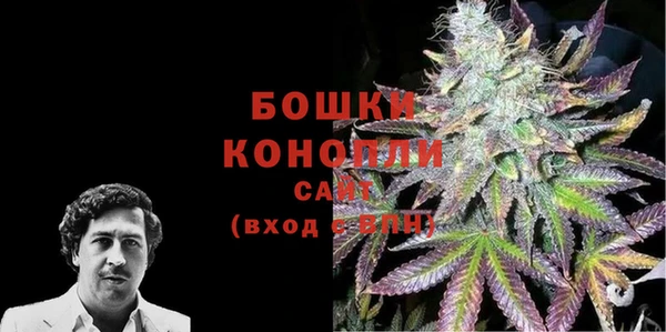 прущие грибы Аркадак