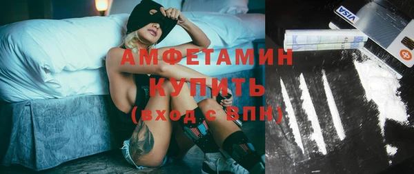 прущие грибы Аркадак