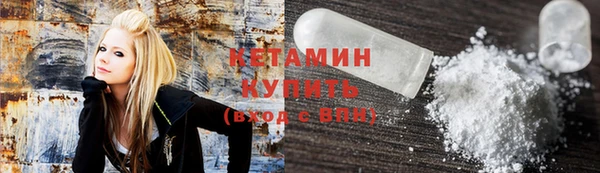 прущие грибы Аркадак