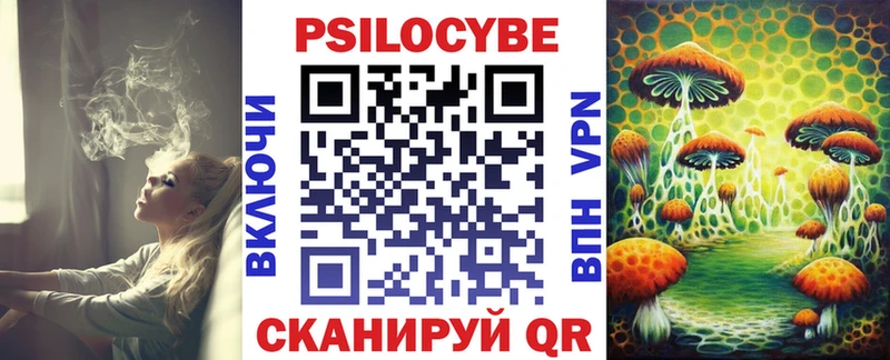 Галлюциногенные грибы Psilocybe  где купить   Белоозёрский 
